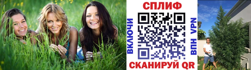 Каннабис Bruce Banner  где купить наркотик  Нариманов 